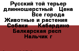 Русский той-терьер длинношерстный › Цена ­ 7 000 - Все города Животные и растения » Собаки   . Кабардино-Балкарская респ.,Нальчик г.